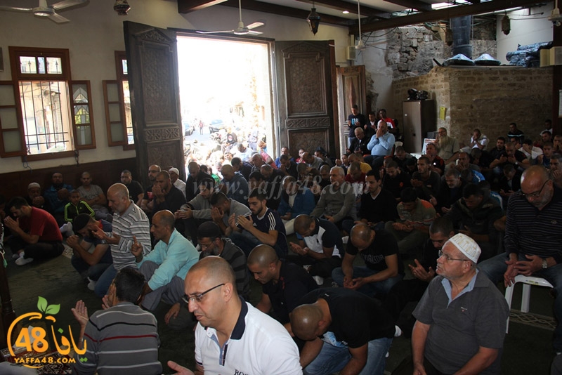 ra2ed fat7iya (15).JPG